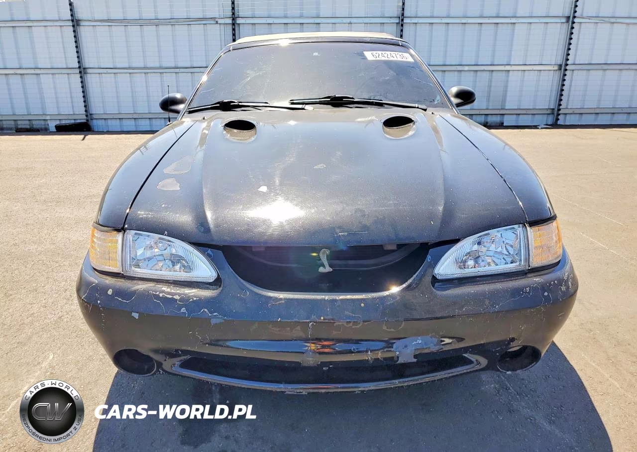1998 Ford Mustang Cobra VIN:1FAFP46V1WF165647 - 5