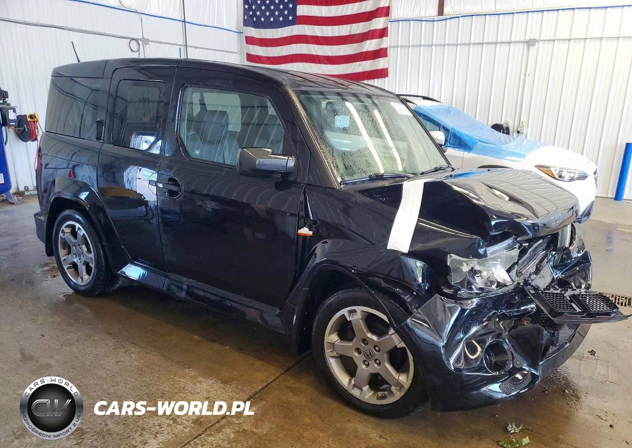 2010 Honda Element Sc VIN:5J6YH1H92AL006476 - 4
