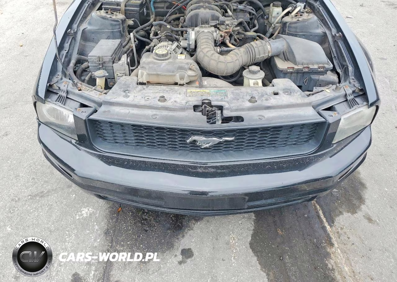2009 Ford Mustang VIN:1ZVHT80N695137042 - 11