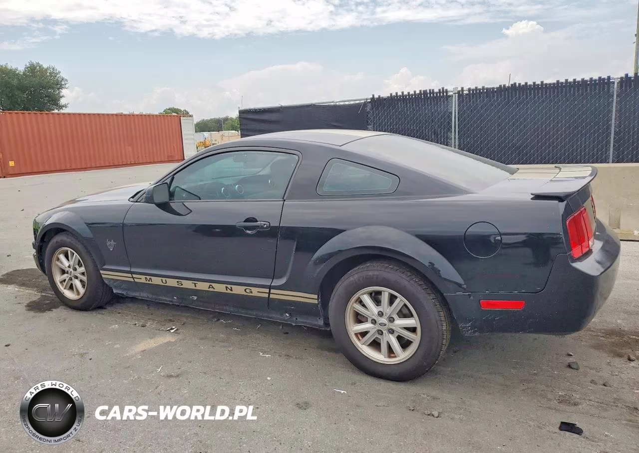 2009 Ford Mustang VIN:1ZVHT80N695137042 - 2