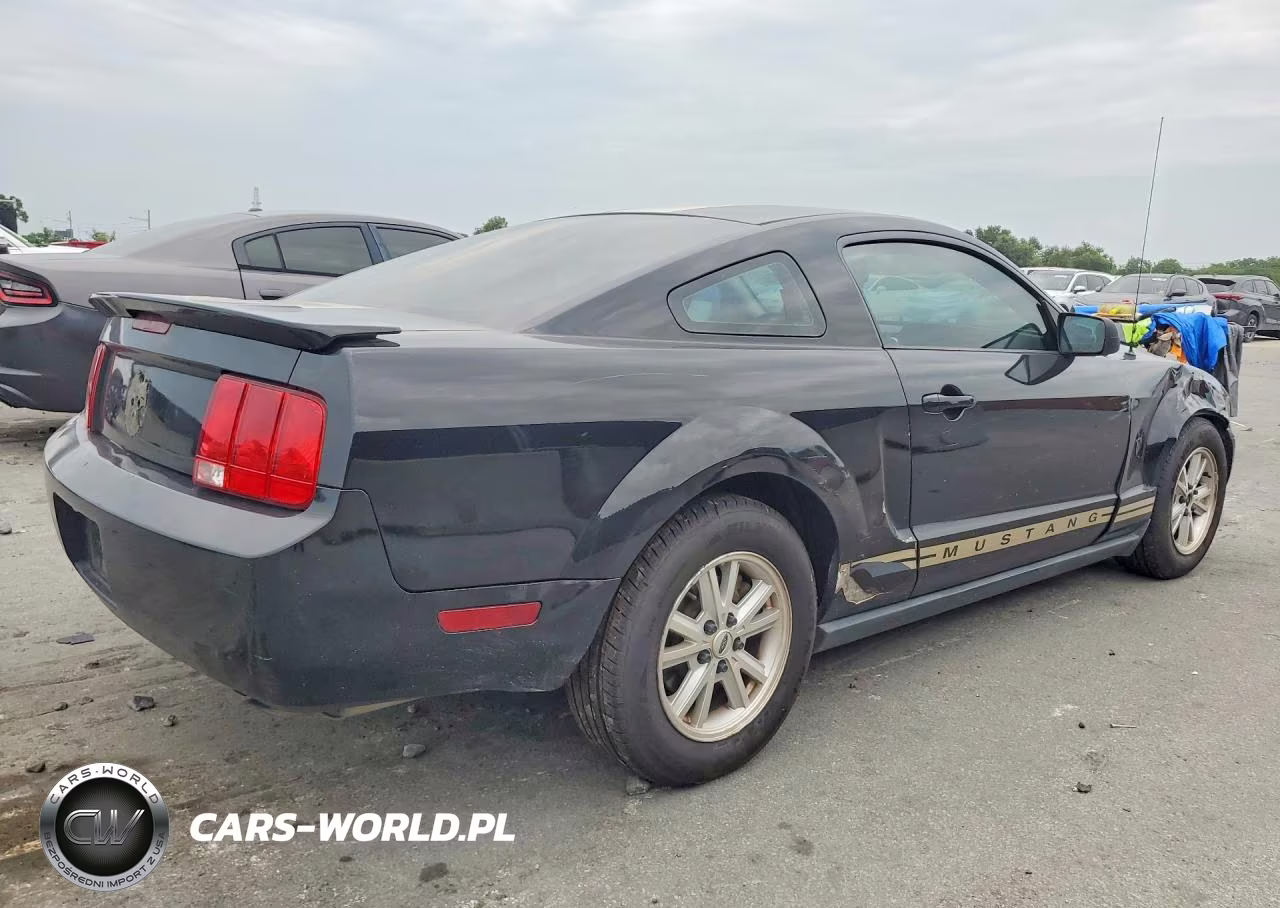 2009 Ford Mustang VIN:1ZVHT80N695137042 - 3