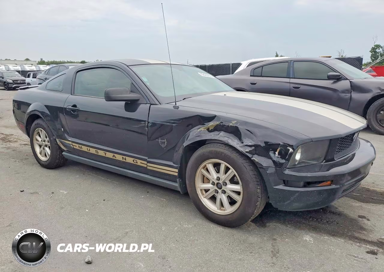 2009 Ford Mustang VIN:1ZVHT80N695137042 - 4