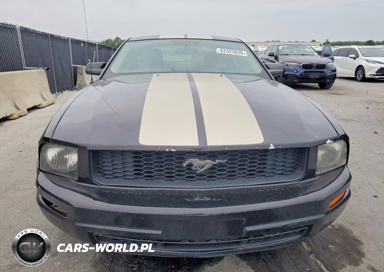 2009 Ford Mustang VIN:1ZVHT80N695137042 - 5