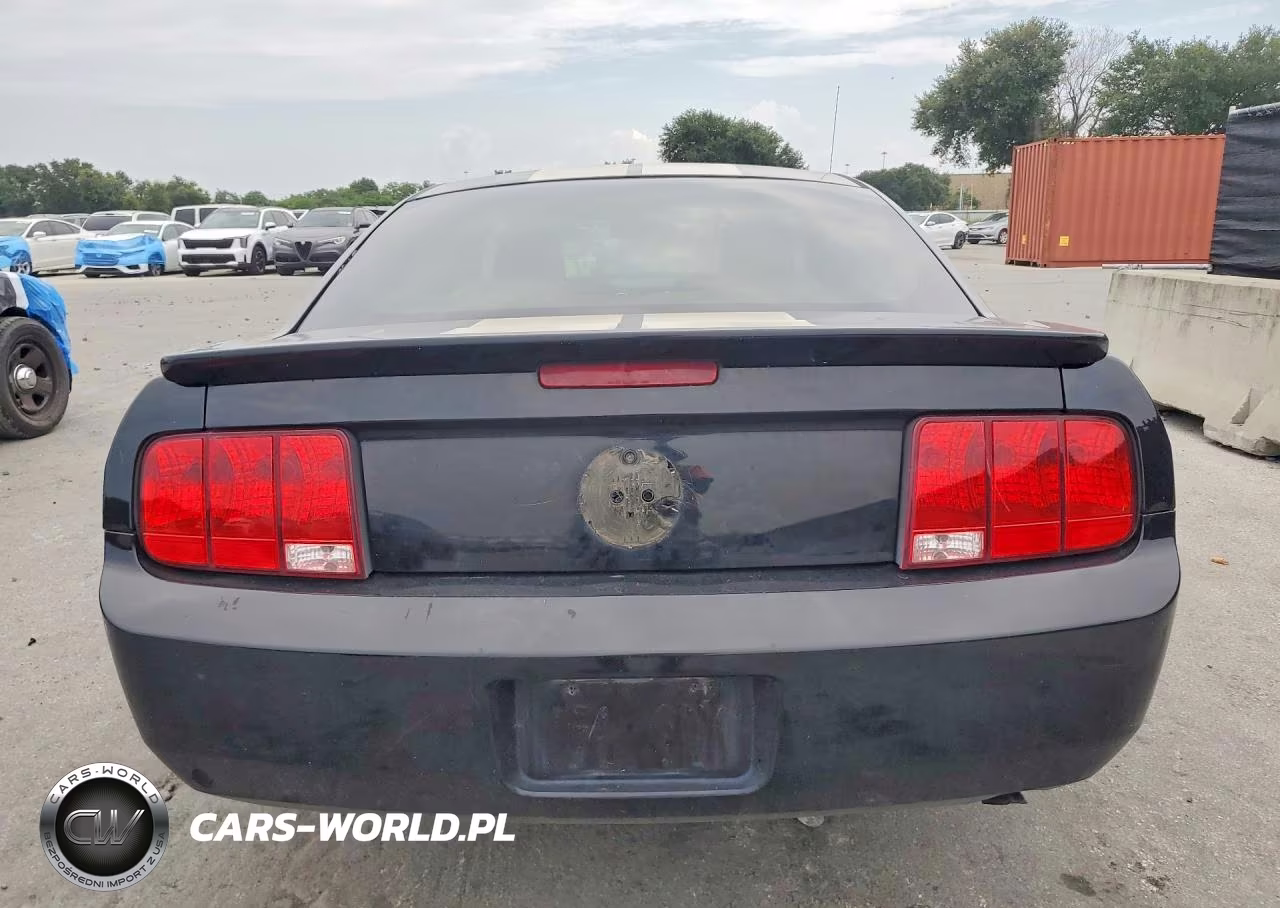 2009 Ford Mustang VIN:1ZVHT80N695137042 - 6