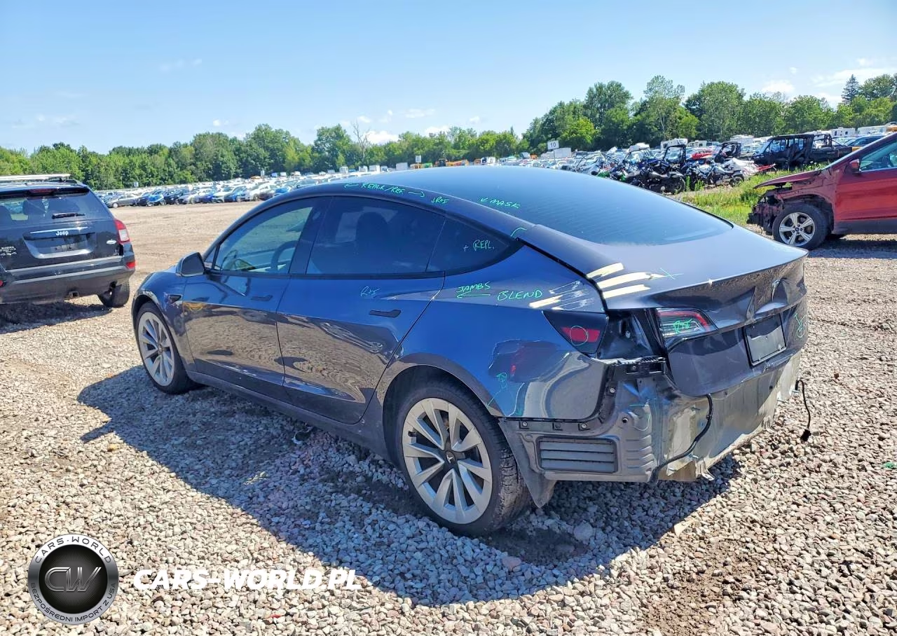 Tesla Model 3 VIN:5YJ3E1EB7PF391576 - 2