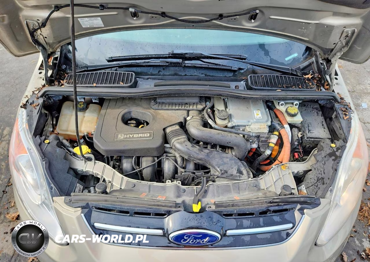 2016 Ford C-Max Se VIN:1FADP5AU4GL108163 - 11