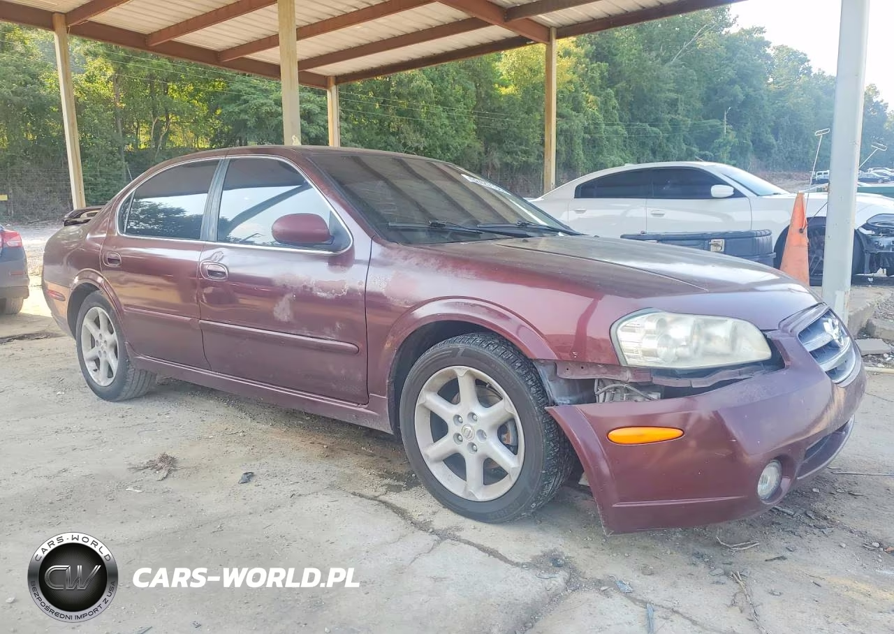 2002 Nissan Maxima VIN:JN1DA31D52T410105 - 4