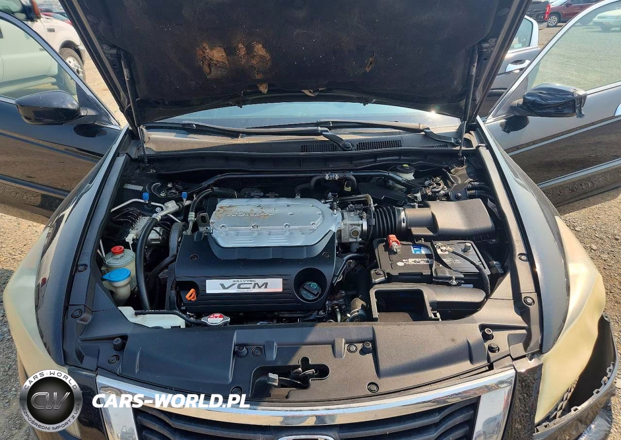 2009 Honda Accord Exl VIN:1HGCP368X9A029361 - 11