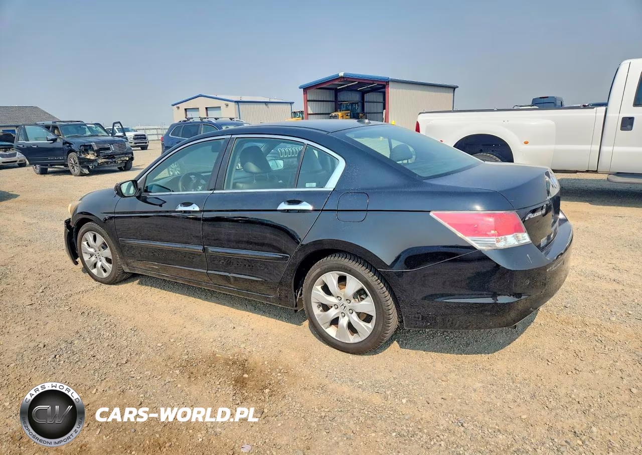 2009 Honda Accord Exl VIN:1HGCP368X9A029361 - 2