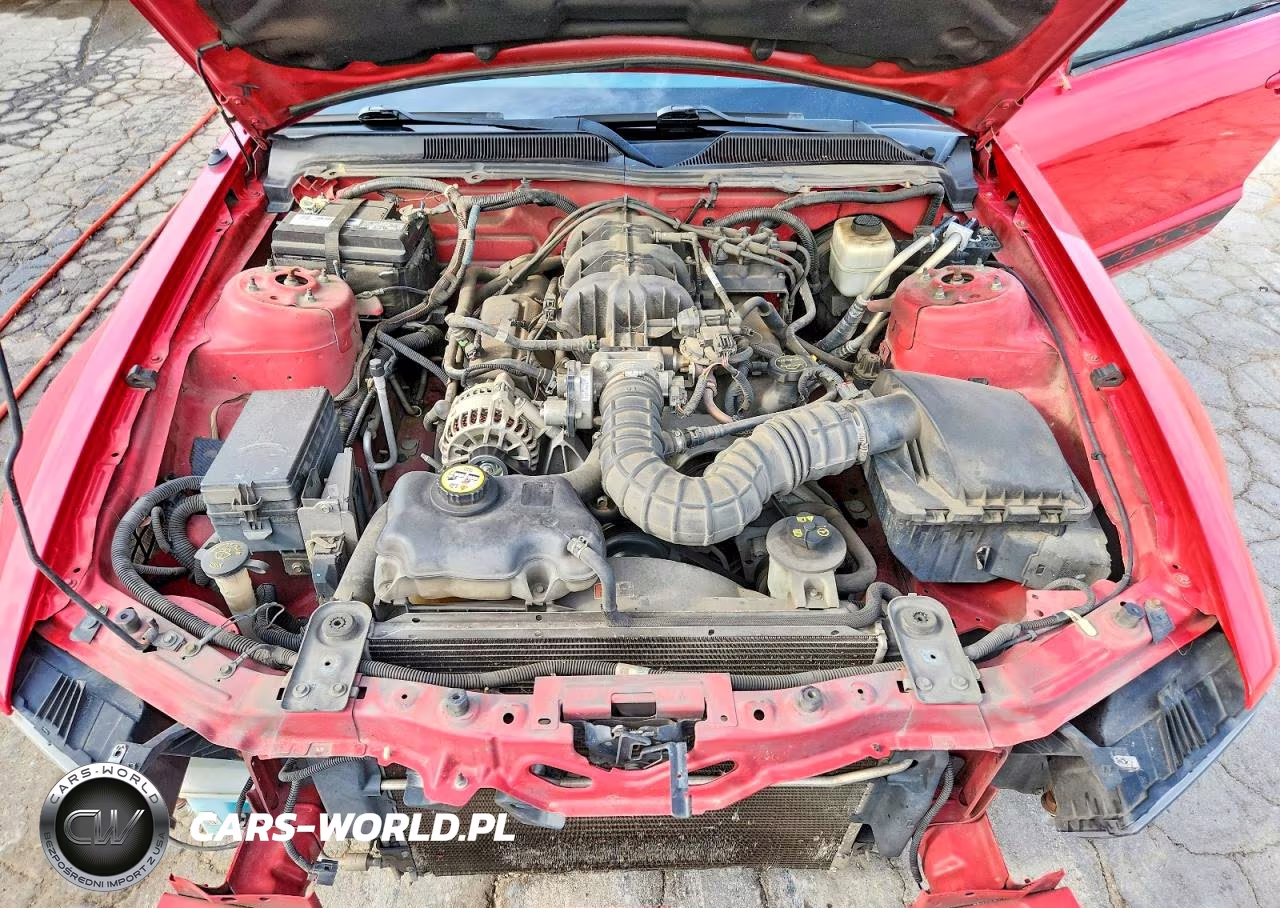2008 Ford Mustang VIN:1ZVHT80N885199461 - 11