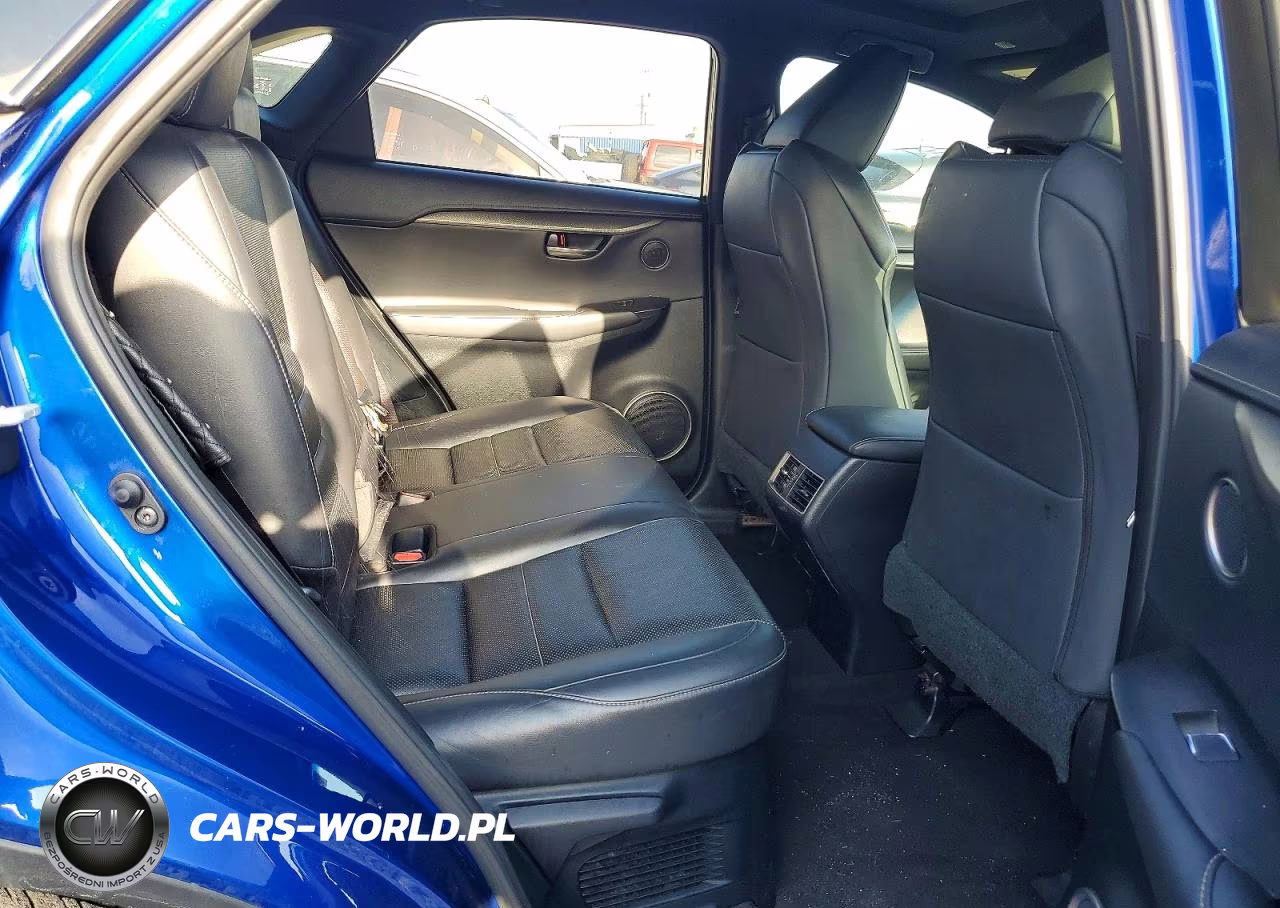 2018 Lexus Nx 300 F Sport VIN:JTJYARBZ4J2106941 - 10