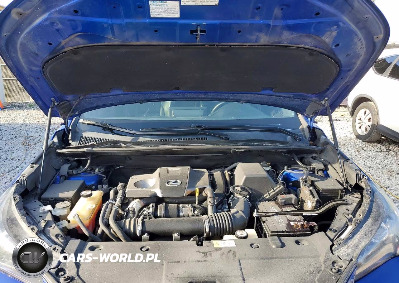 2018 Lexus Nx 300 F Sport VIN:JTJYARBZ4J2106941 - 11