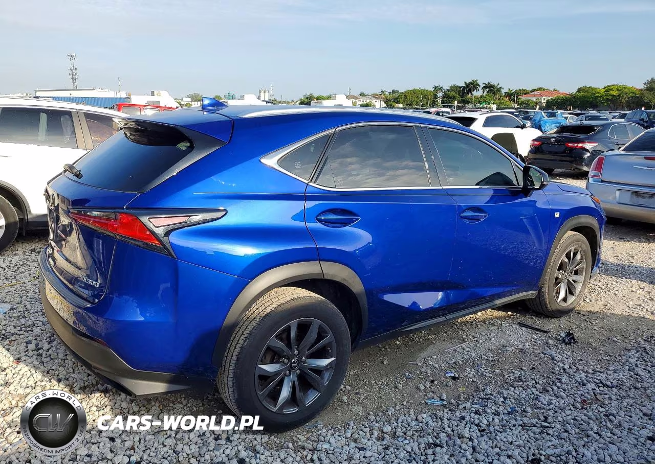 2018 Lexus Nx 300 F Sport VIN:JTJYARBZ4J2106941 - 3