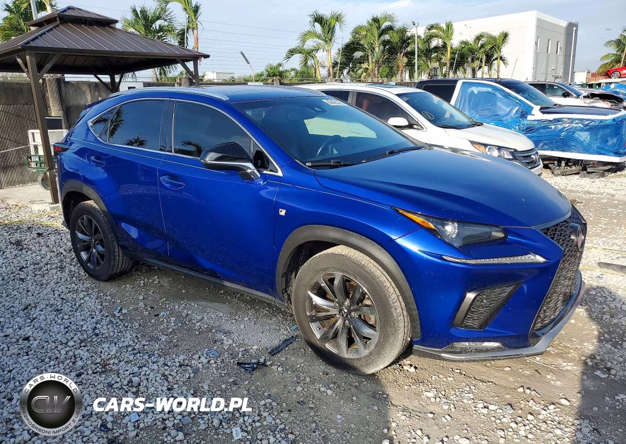 2018 Lexus Nx 300 F Sport VIN:JTJYARBZ4J2106941 - 4