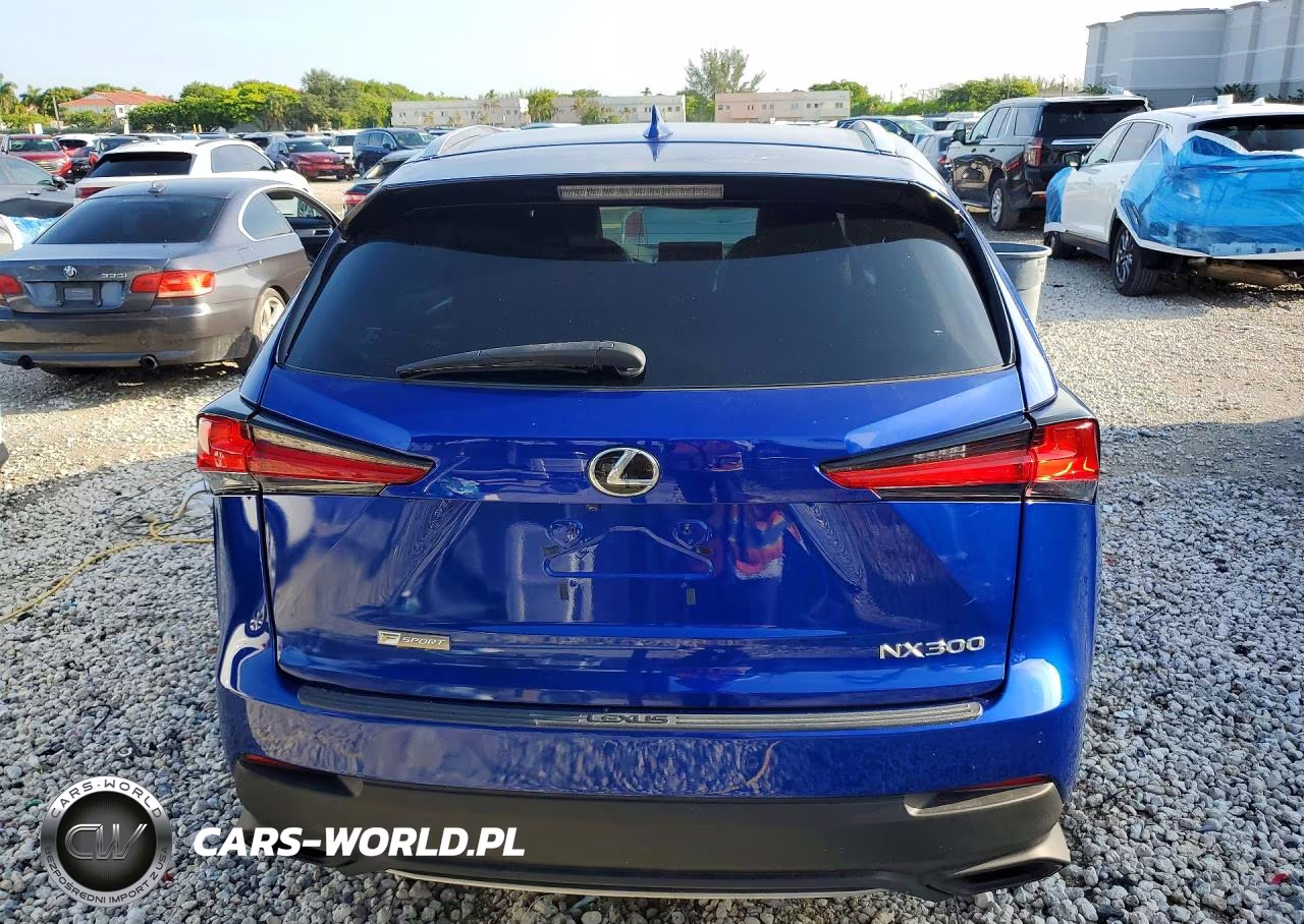 2018 Lexus Nx 300 F Sport VIN:JTJYARBZ4J2106941 - 6