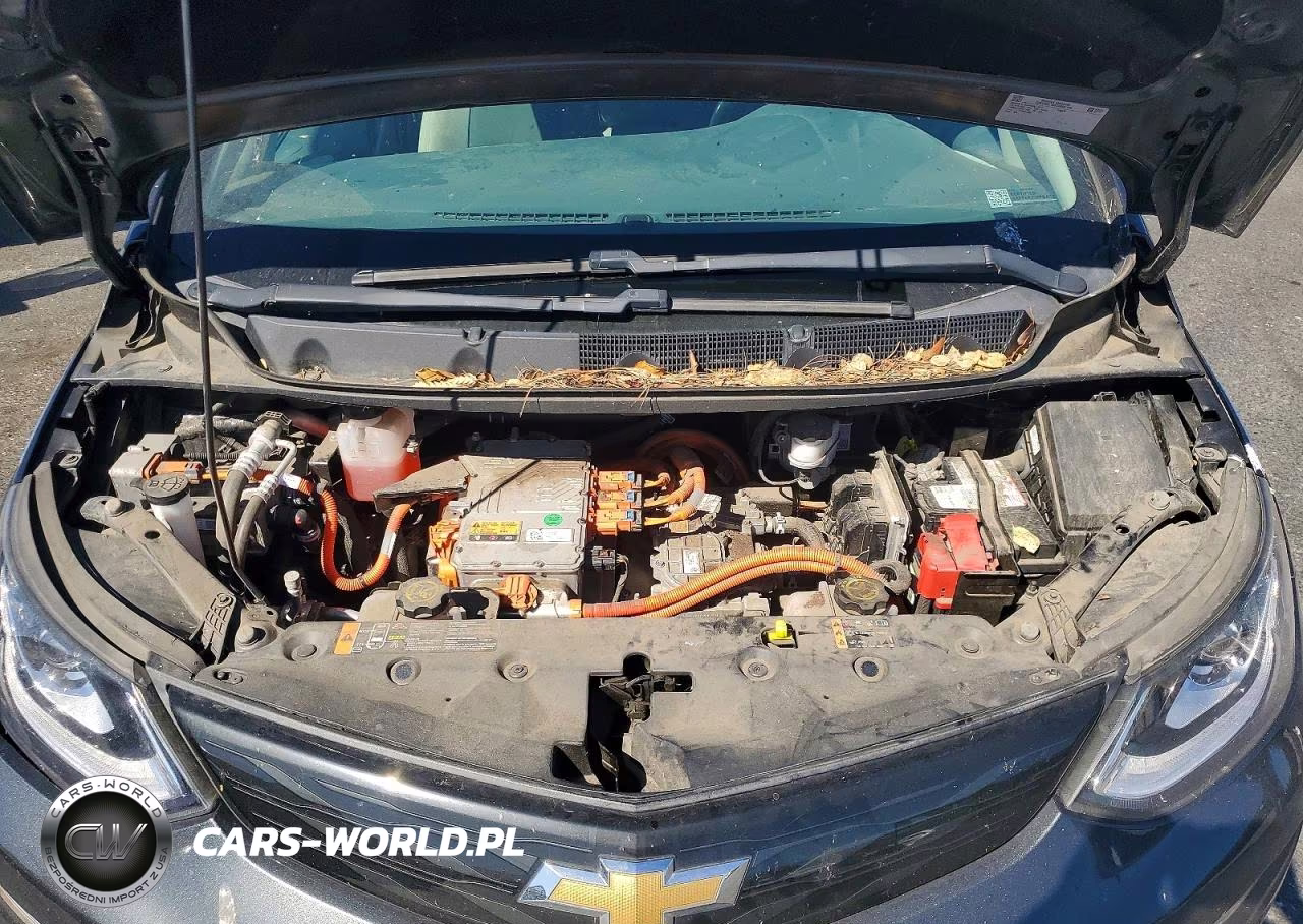 2017 Chevrolet Bolt Ev Lt VIN:1G1FW6S00H4157629 - 11