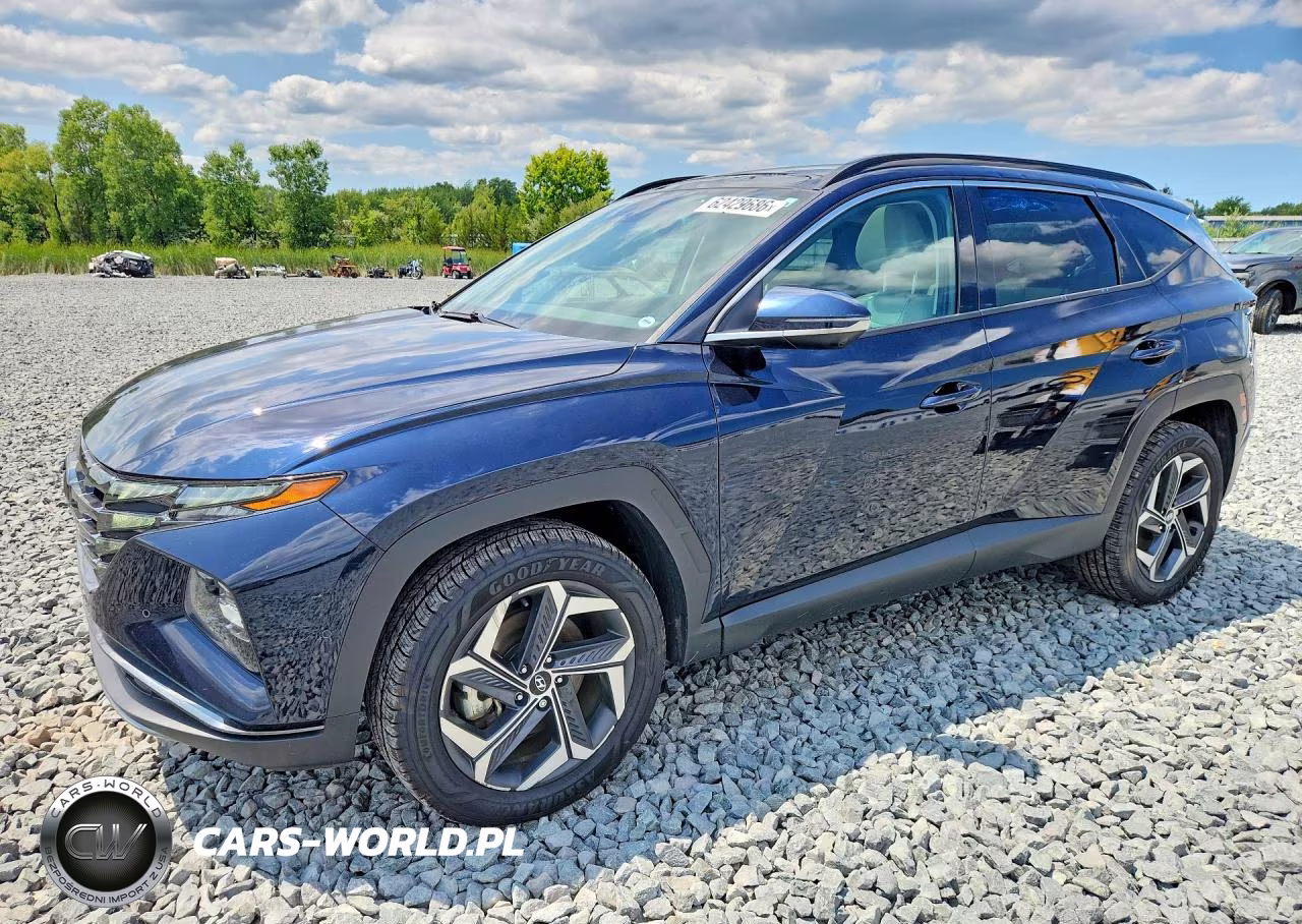2024 Hyundai Tucson Limited VIN:KM8JECD13RU161521 - 1