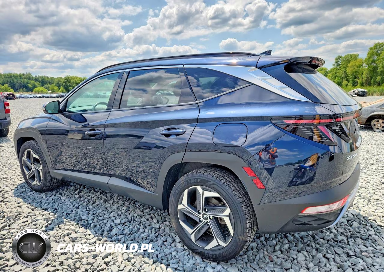 2024 Hyundai Tucson Limited VIN:KM8JECD13RU161521 - 2
