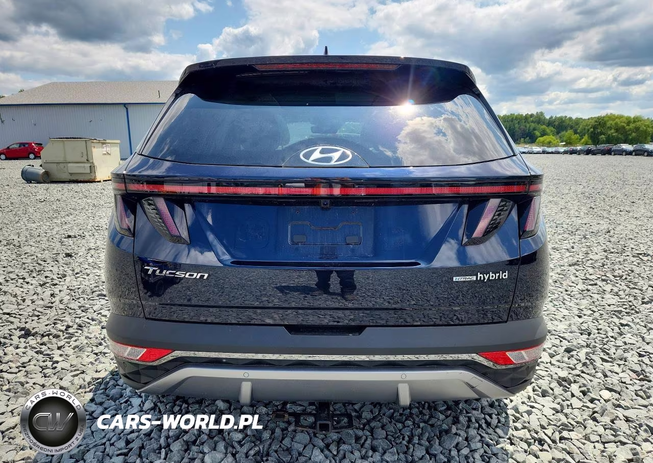 2024 Hyundai Tucson Limited VIN:KM8JECD13RU161521 - 6
