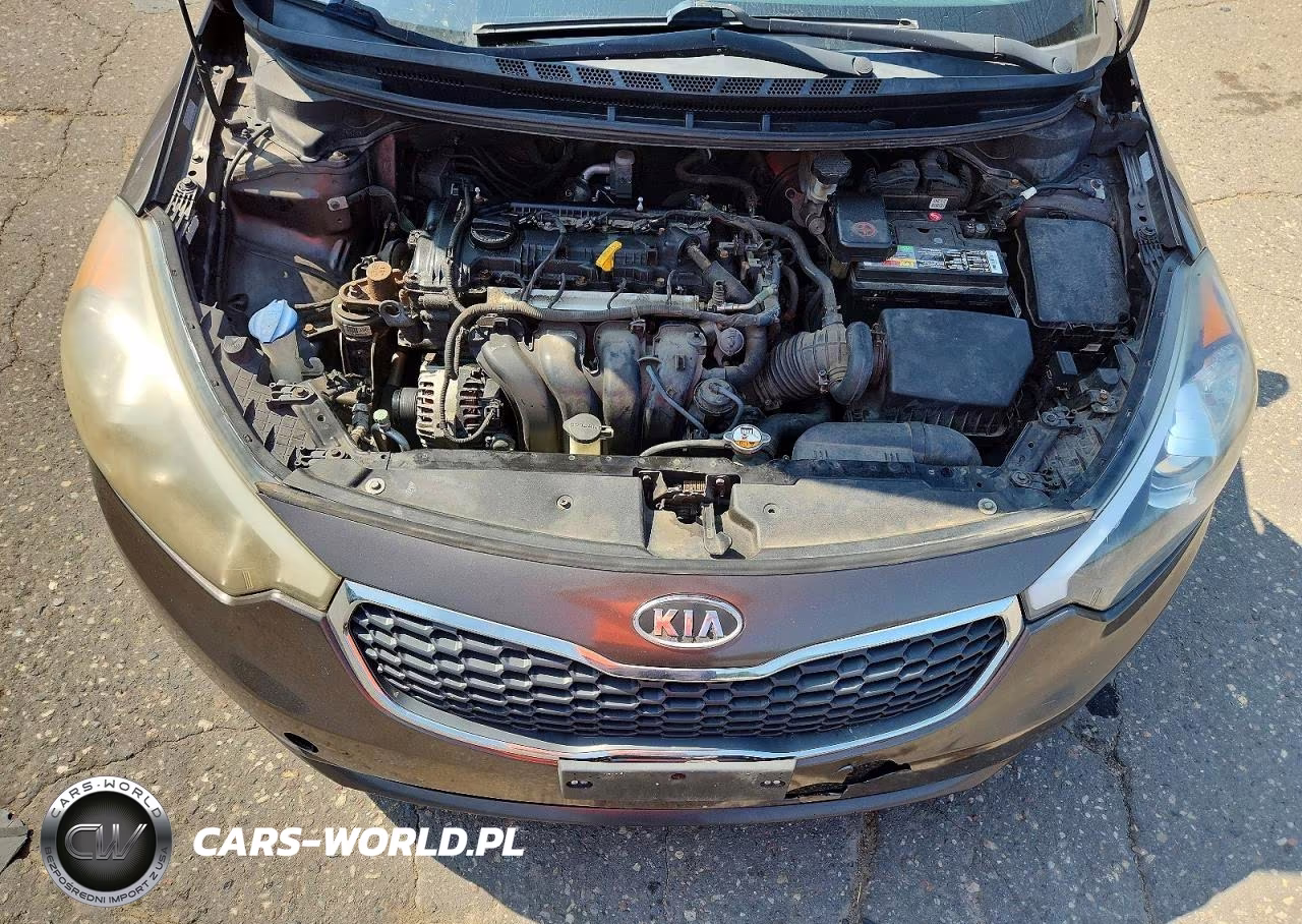 2014 Kia Forte Lx VIN:KNAFX4A6XE5101960 - 11