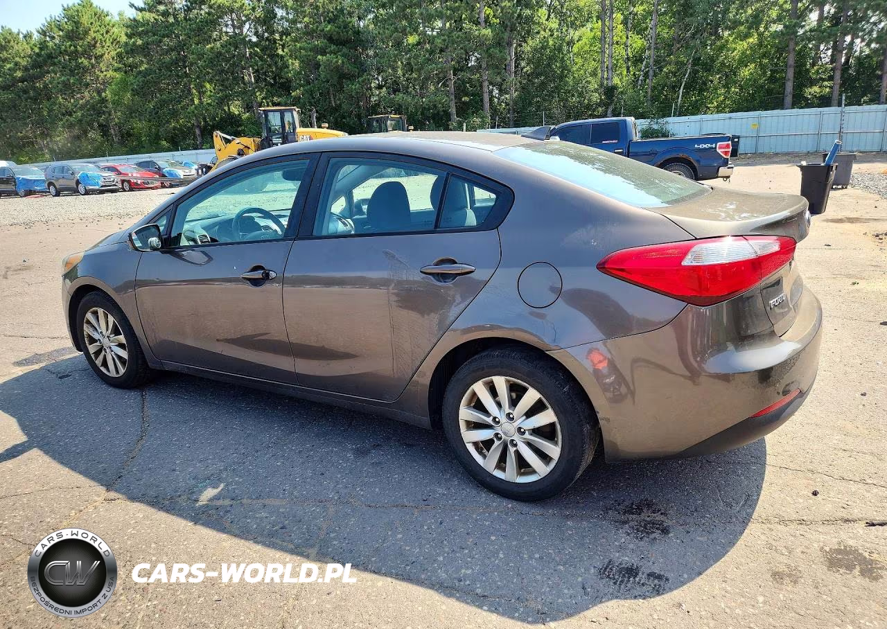 2014 Kia Forte Lx VIN:KNAFX4A6XE5101960 - 2