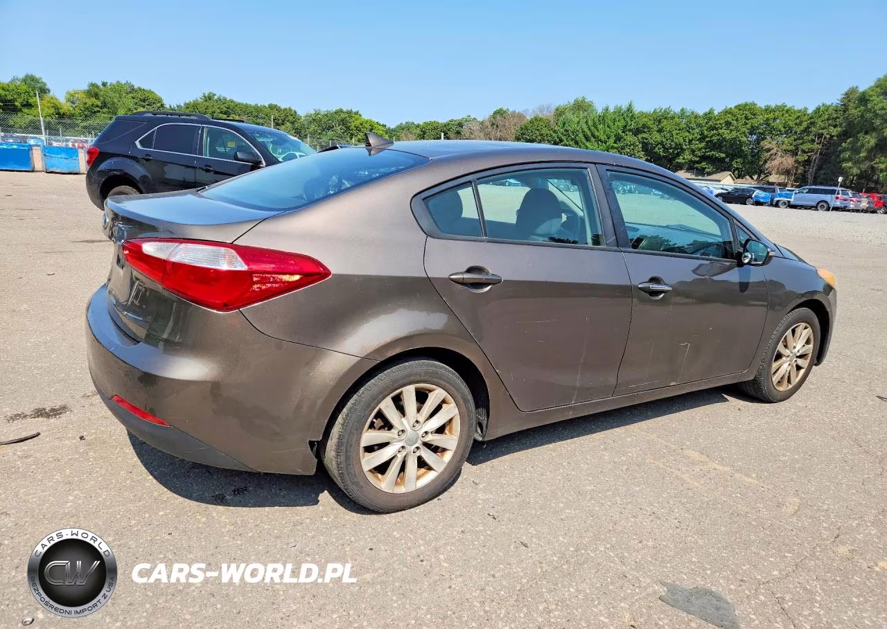 2014 Kia Forte Lx VIN:KNAFX4A6XE5101960 - 3