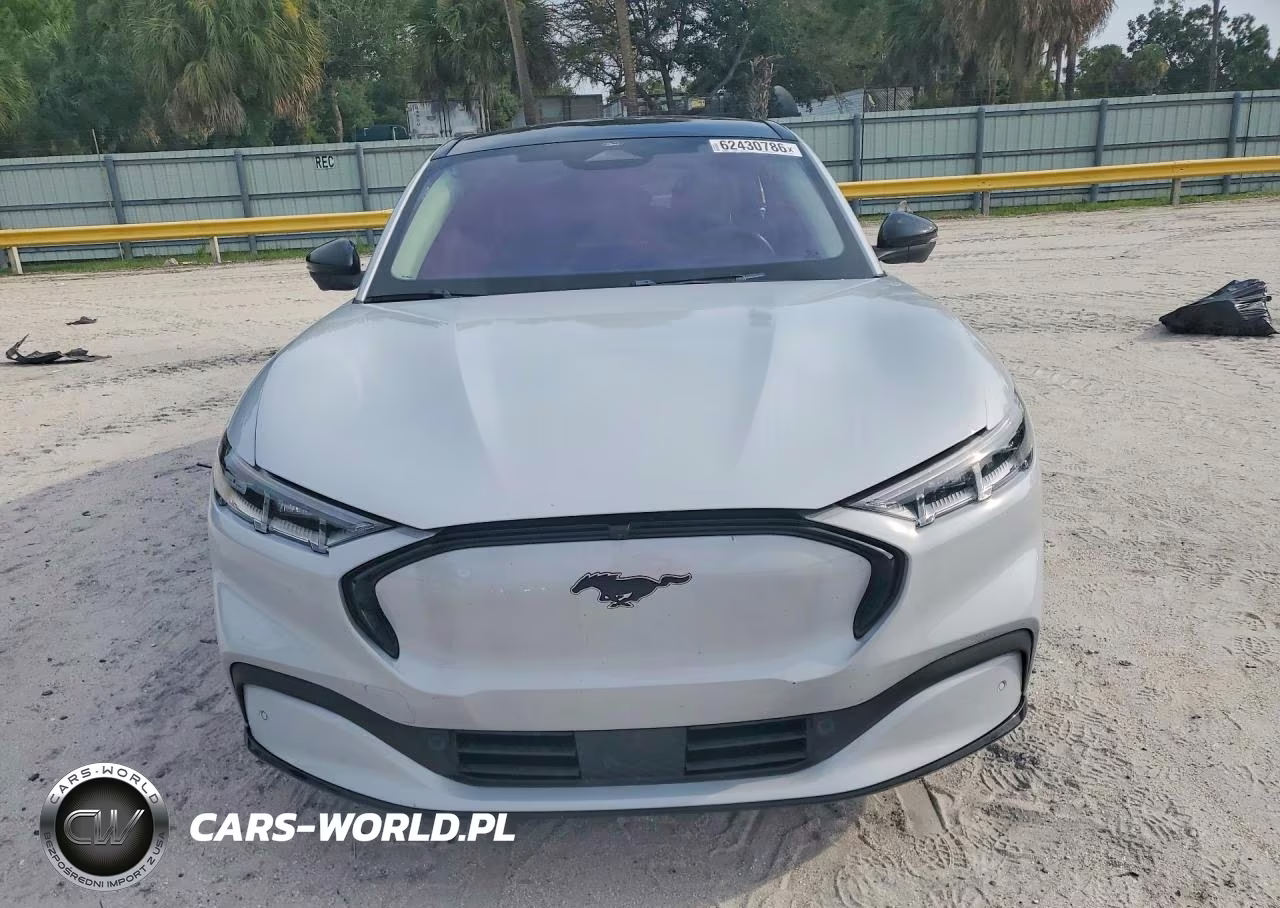 2022 Ford Mustang Mach-E Premium VIN:3FMTK3RM8NMA16199 - 5