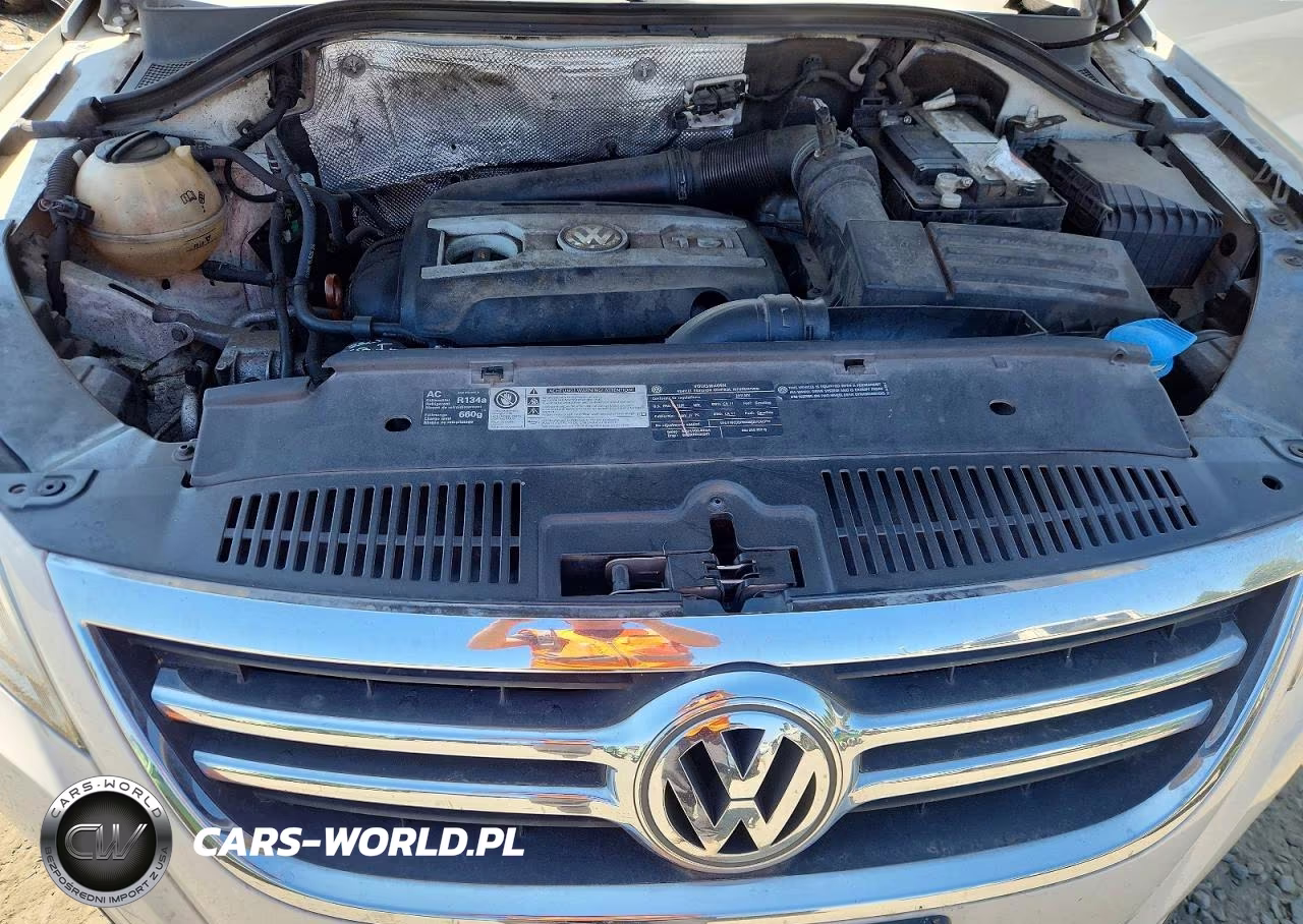 2011 Volkswagen Tiguan S VIN:WVGBV7AX5BW516171 - 12
