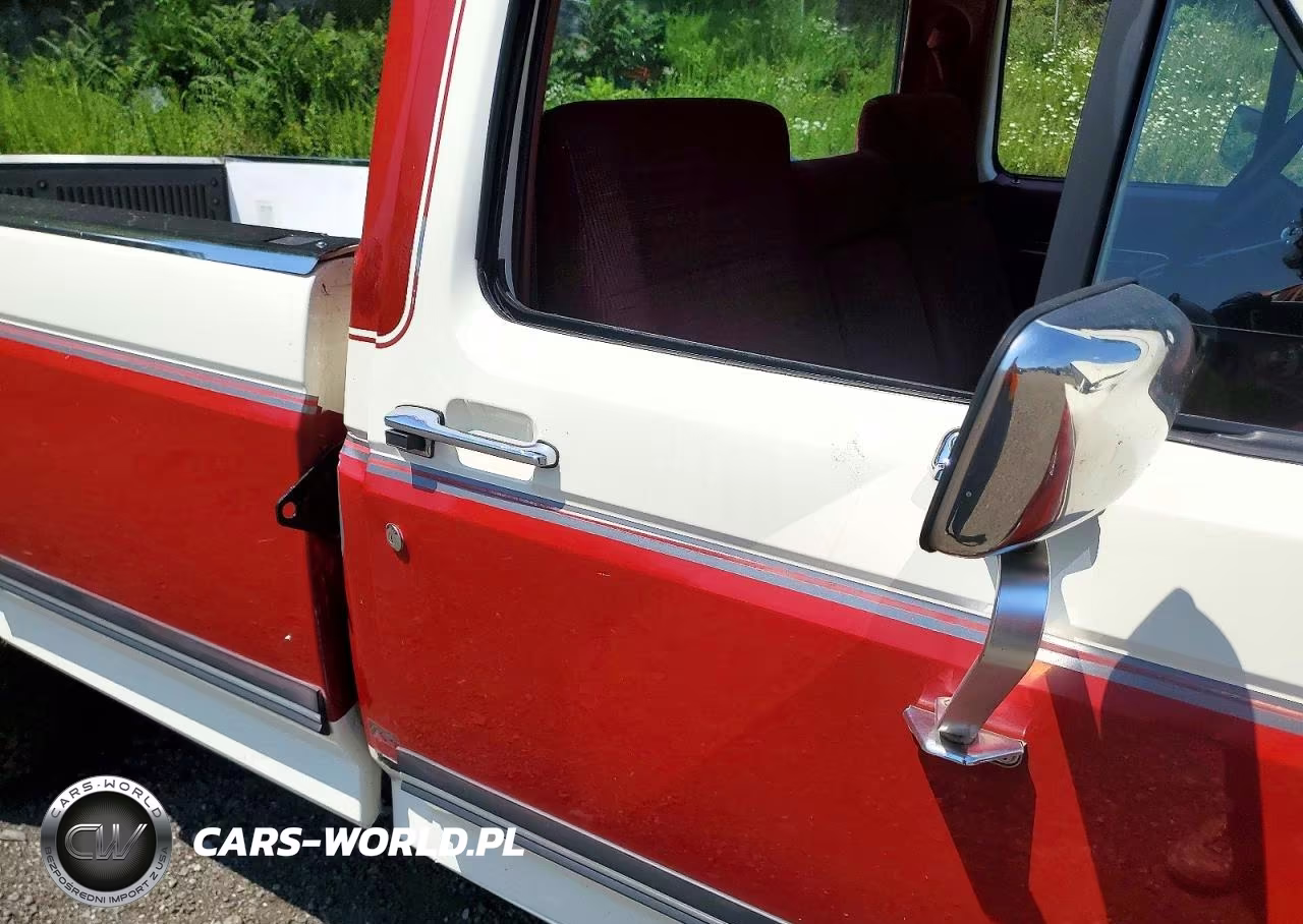 1990 Ford F150 VIN:1FTEF14N8LPA62886 - 10
