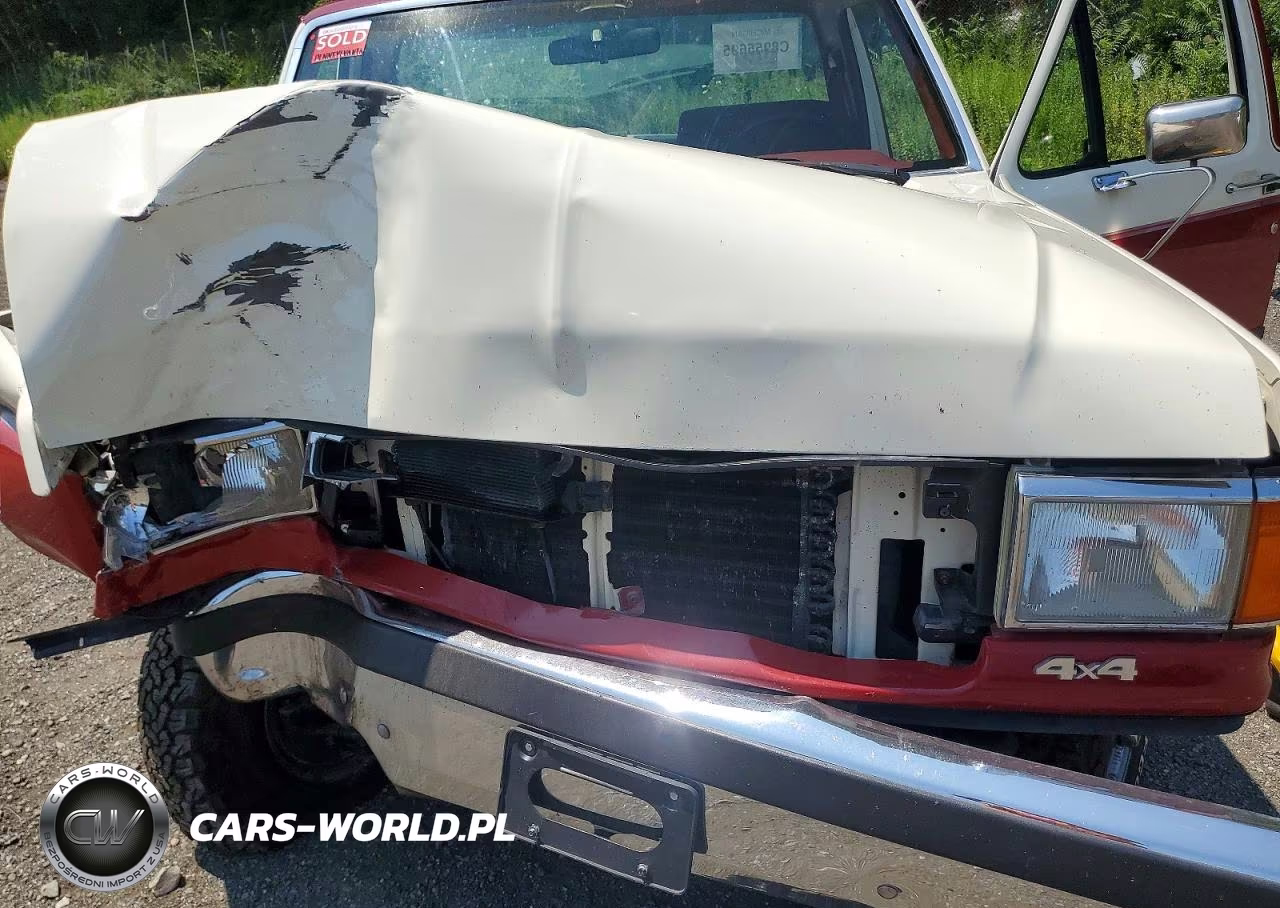 1990 Ford F150 VIN:1FTEF14N8LPA62886 - 11
