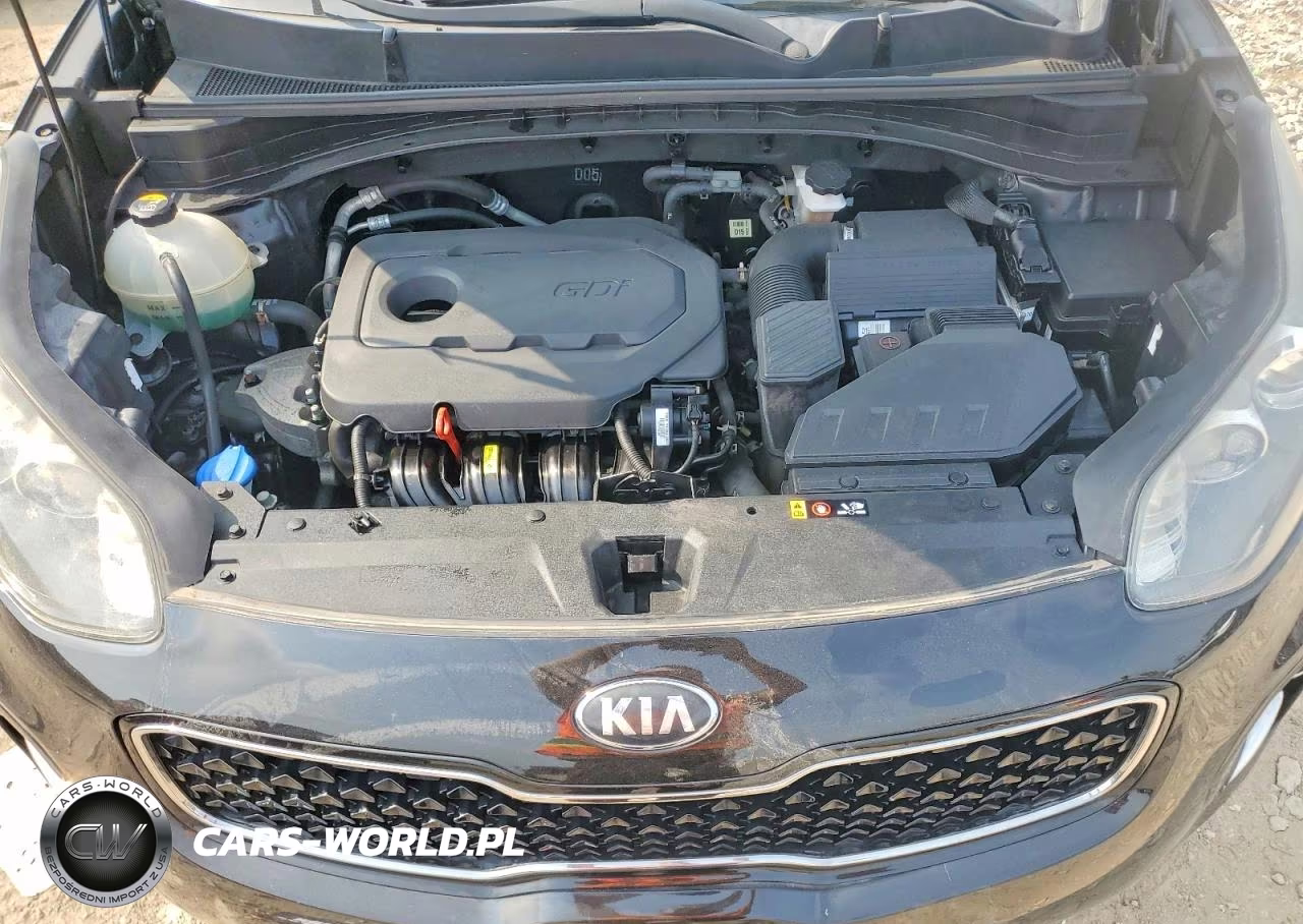 2019 Kia Sportage Ex VIN:KNDPNCAC6K7512074 - 12