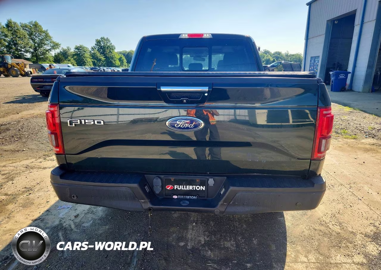2016 Ford F150 Supercrew VIN:1FTEW1EG2GFB90925 - 6