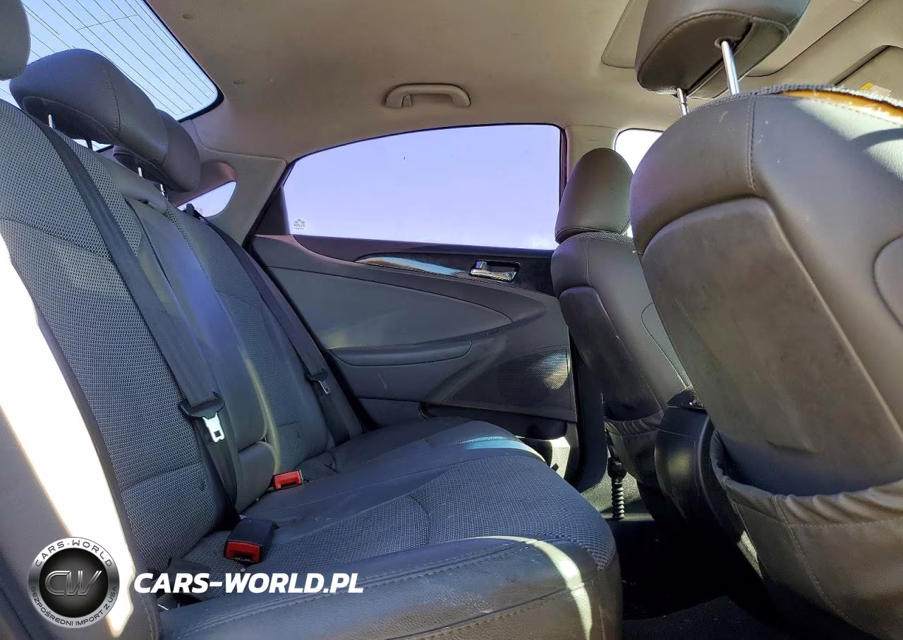 2014 Hyundai Sonata VIN:5NPEC4AC0EH811823 - 10