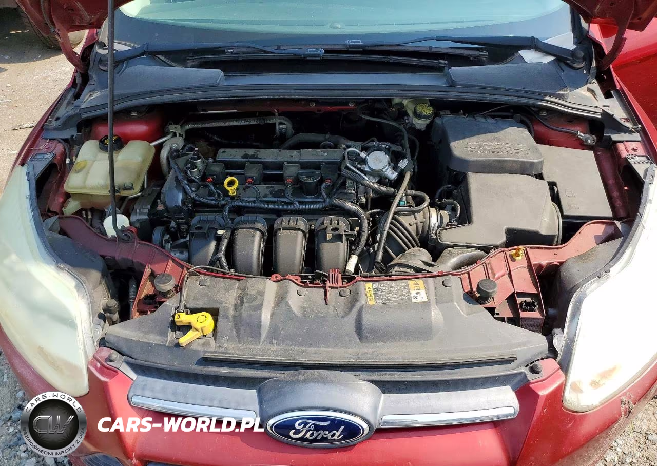 2014 Ford Focus Se VIN:1FADP3K2XEL324436 - 11