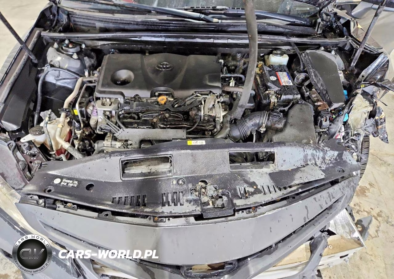 2019 Toyota Camry Se VIN:4T1B11HK3KU802955 - 11