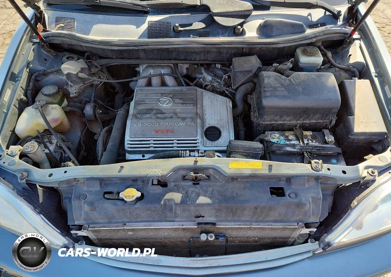 2001 Lexus Rx 300 VIN:JTJHF10U510202535 - 12