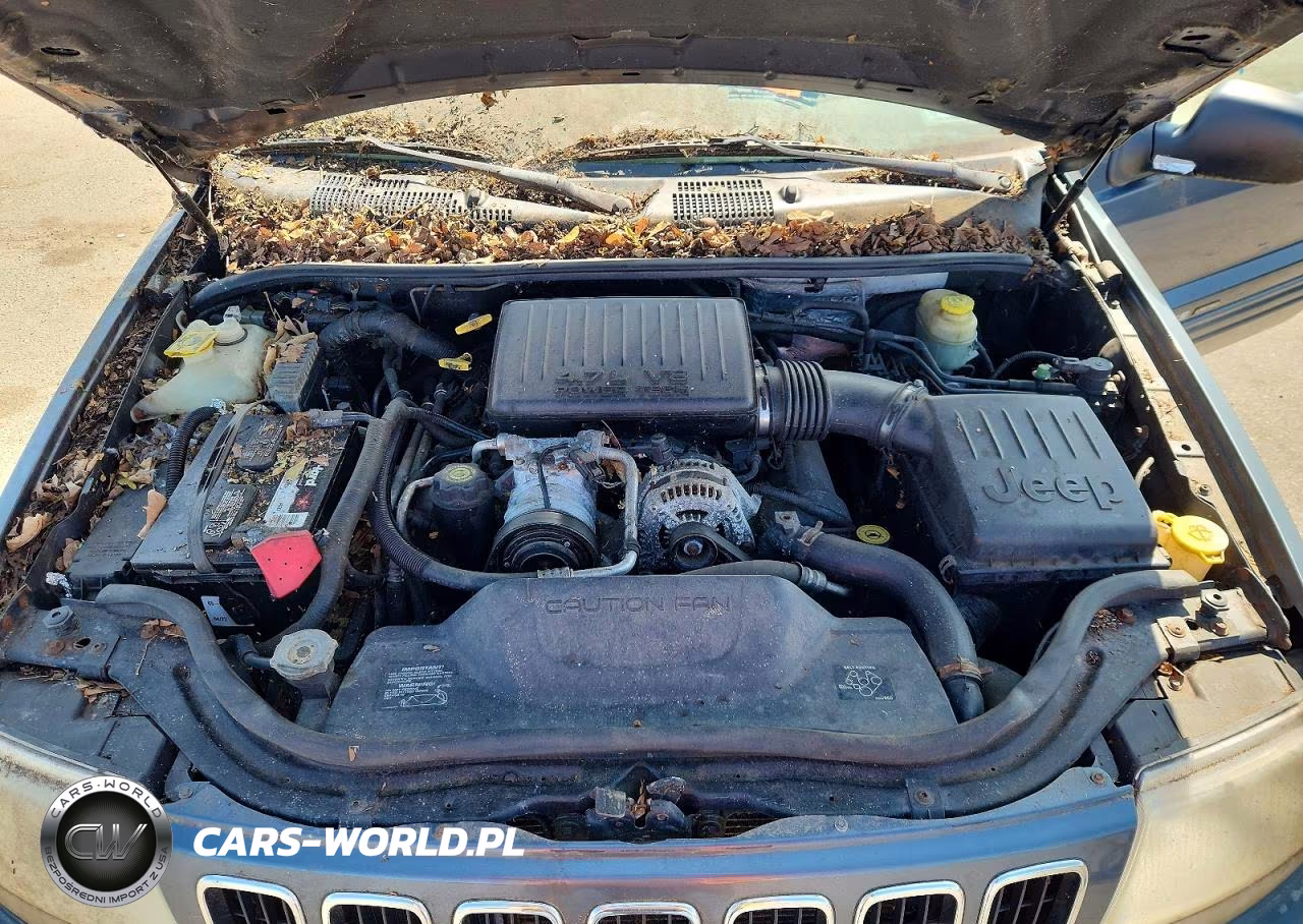 2002 Jeep Grand Cherokee Limited VIN:1J8GW58NX2C225336 - 12