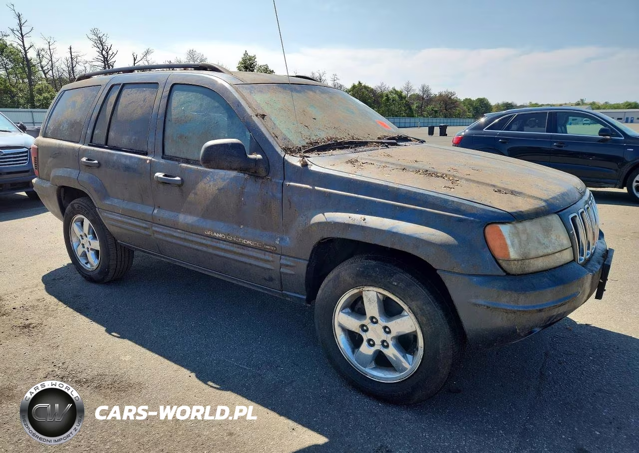 2002 Jeep Grand Cherokee Limited VIN:1J8GW58NX2C225336 - 4