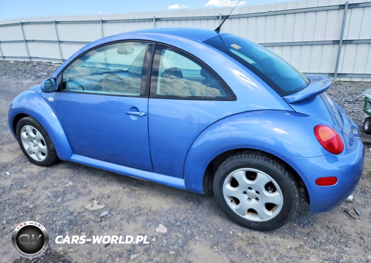 2002 Volkswagen New Beetle Gls VIN:3VWCK21CX2M455561 - 2