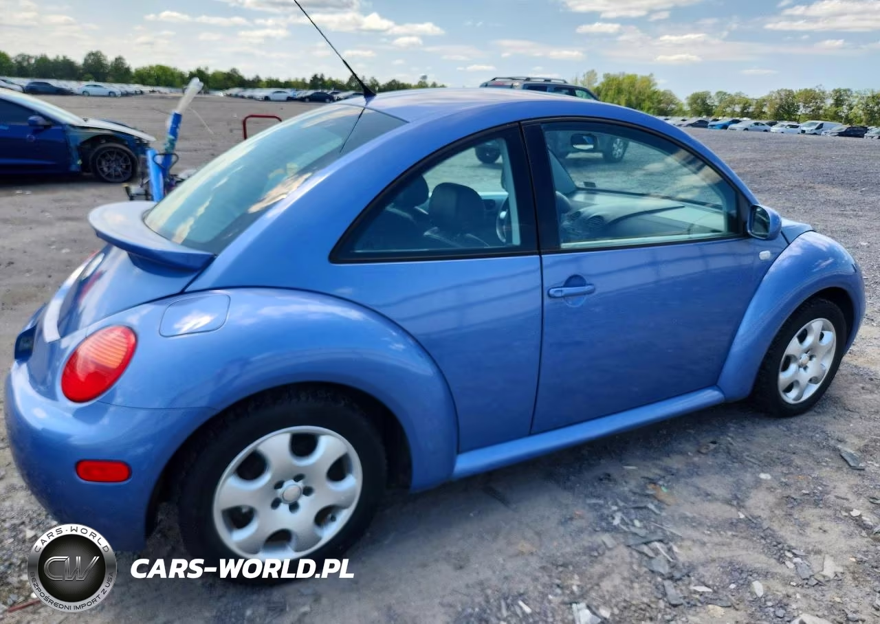 2002 Volkswagen New Beetle Gls VIN:3VWCK21CX2M455561 - 3