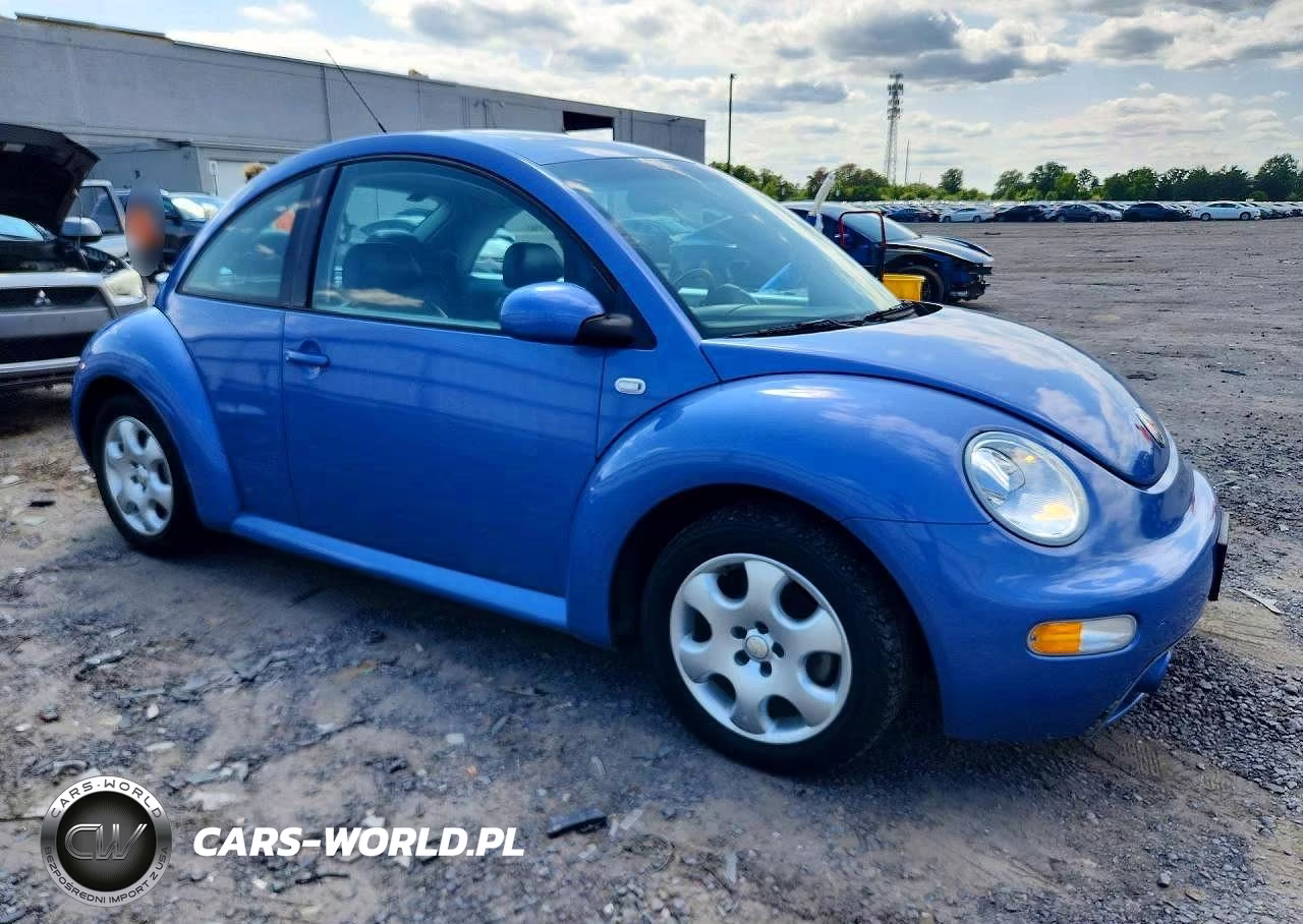 2002 Volkswagen New Beetle Gls VIN:3VWCK21CX2M455561 - 4