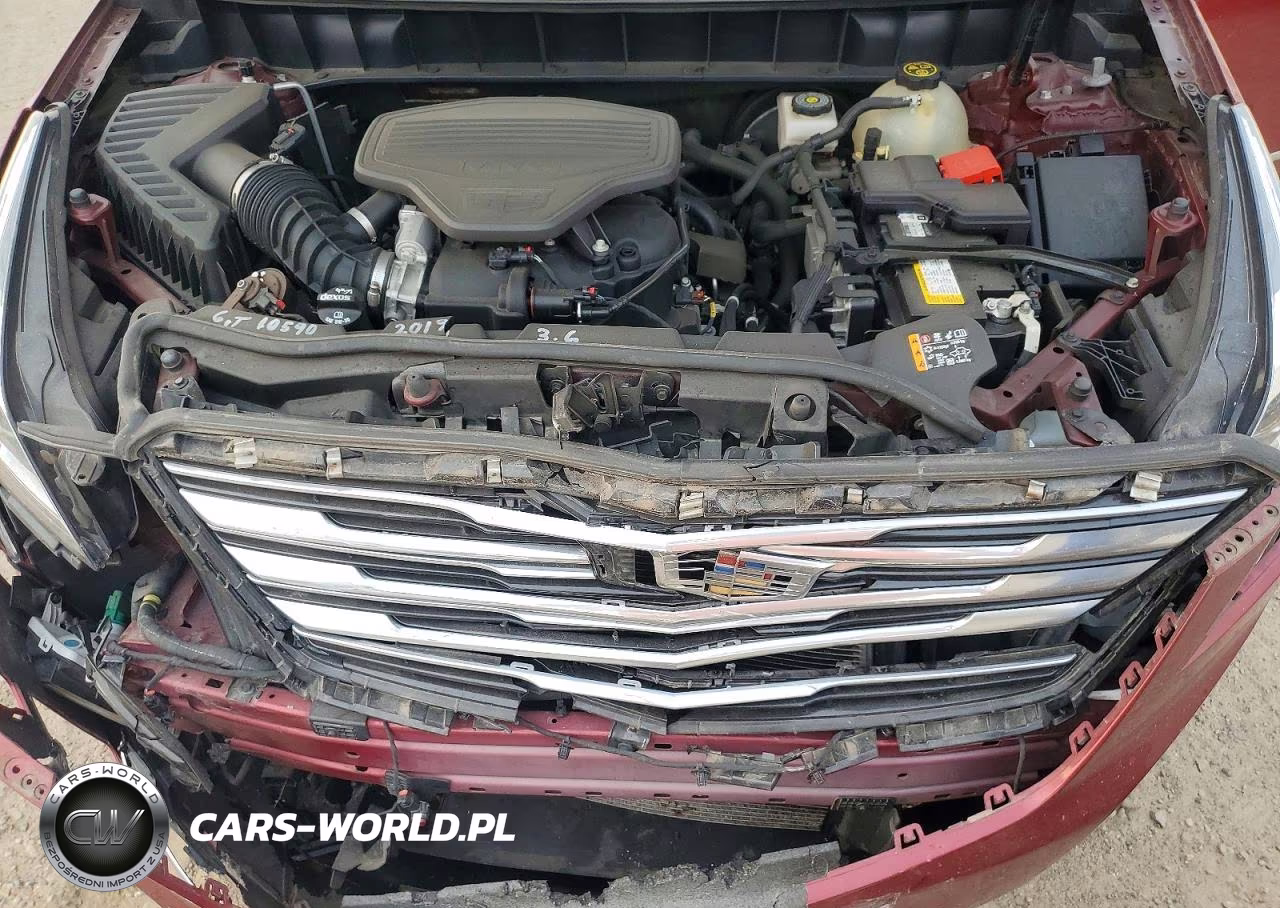 2019 Cadillac Xt5 Luxury VIN:1GYKNDRS4KZ295702 - 12