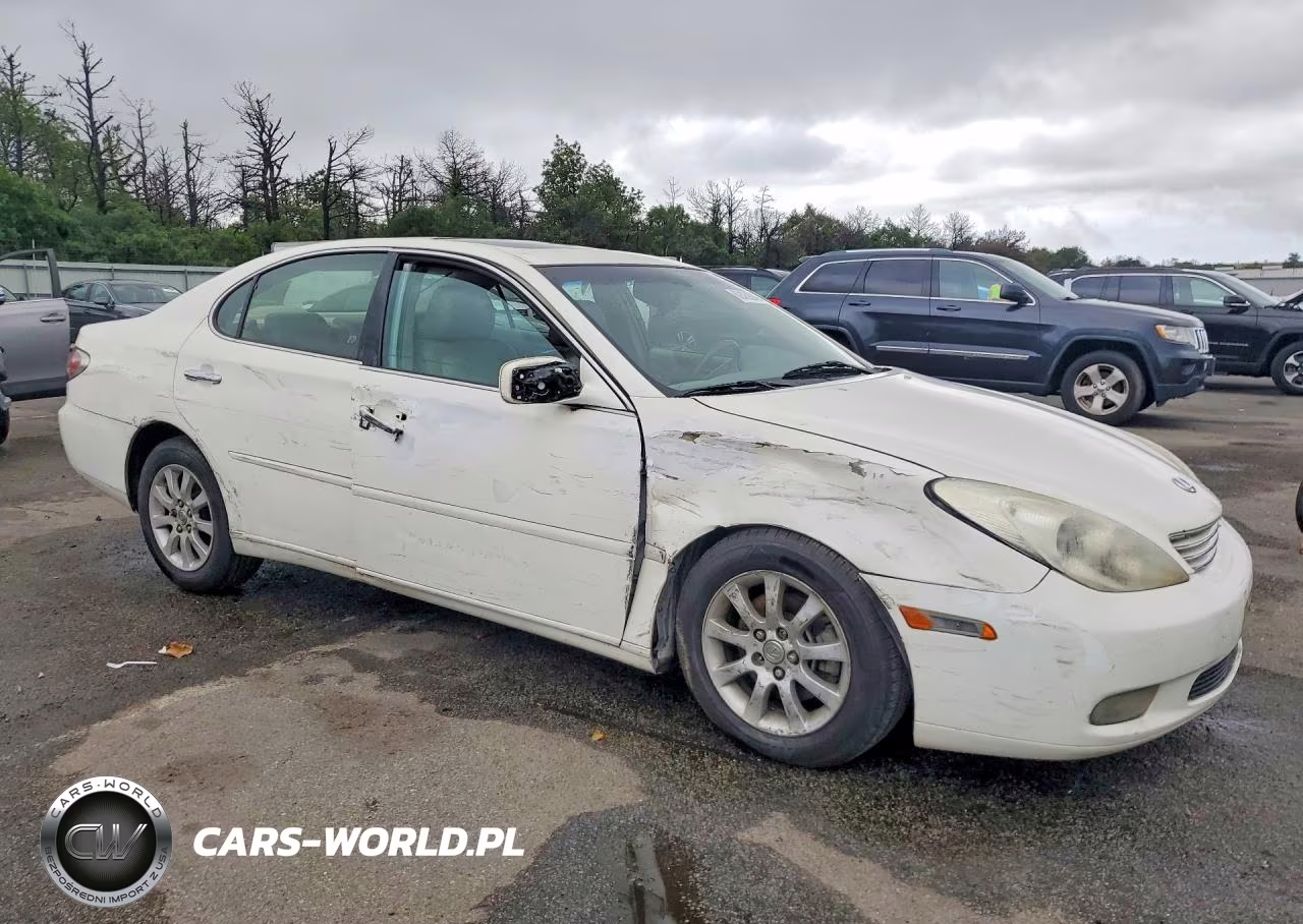 2002 Lexus Es 300 VIN:JTHBF30G420030707 - 4