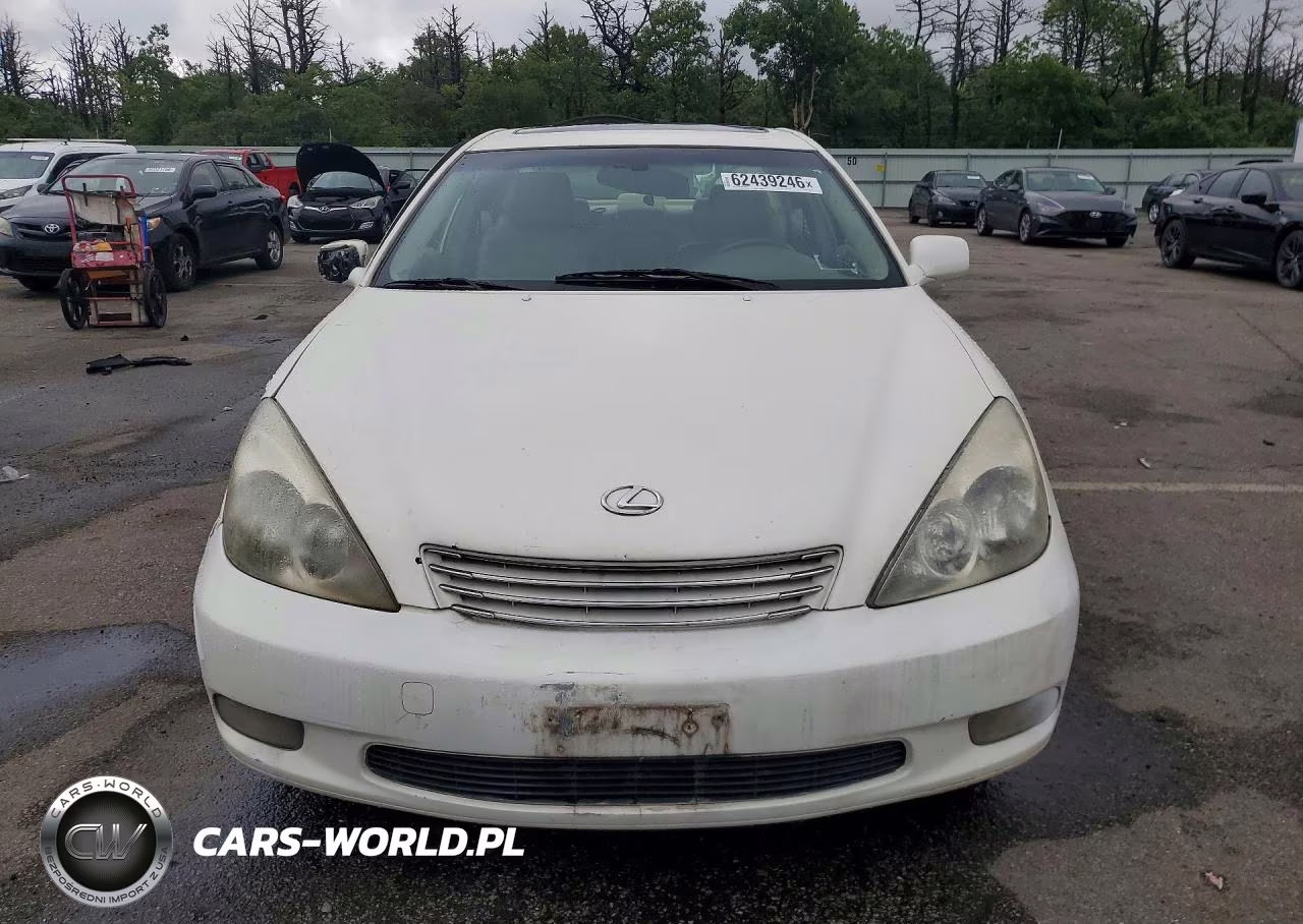 2002 Lexus Es 300 VIN:JTHBF30G420030707 - 5
