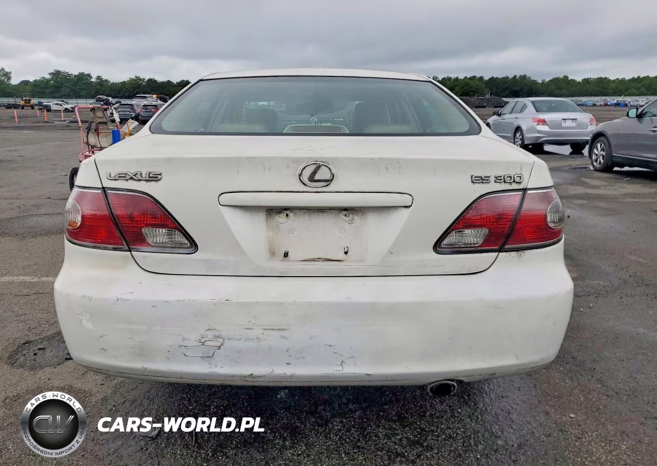 2002 Lexus Es 300 VIN:JTHBF30G420030707 - 6