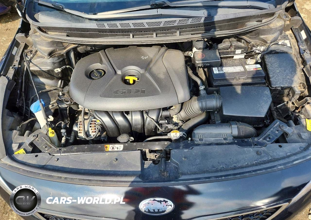 2017 Kia Forte5 Lx VIN:KNAFK5A83H5715355 - 11