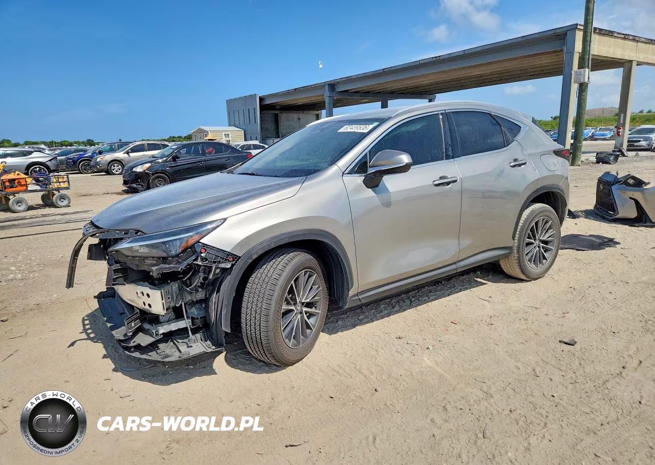 2025 Lexus Nx 250 Base VIN:2T2ADCAZ7SC030575 - 1