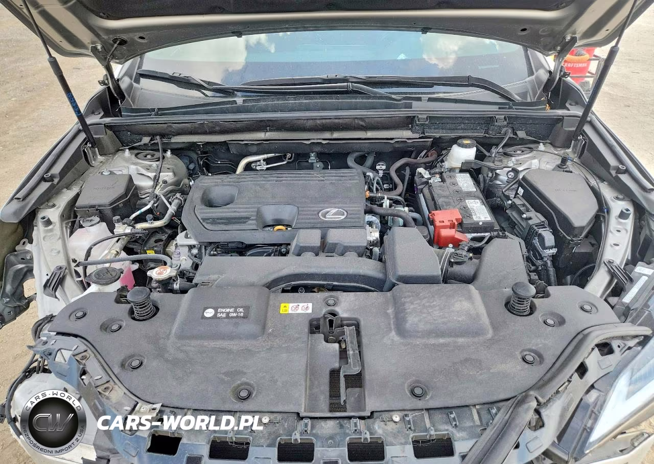 2025 Lexus Nx 250 Base VIN:2T2ADCAZ7SC030575 - 12