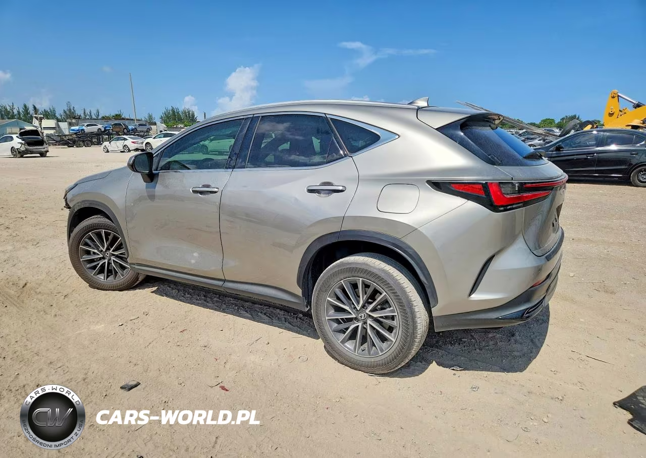 2025 Lexus Nx 250 Base VIN:2T2ADCAZ7SC030575 - 2