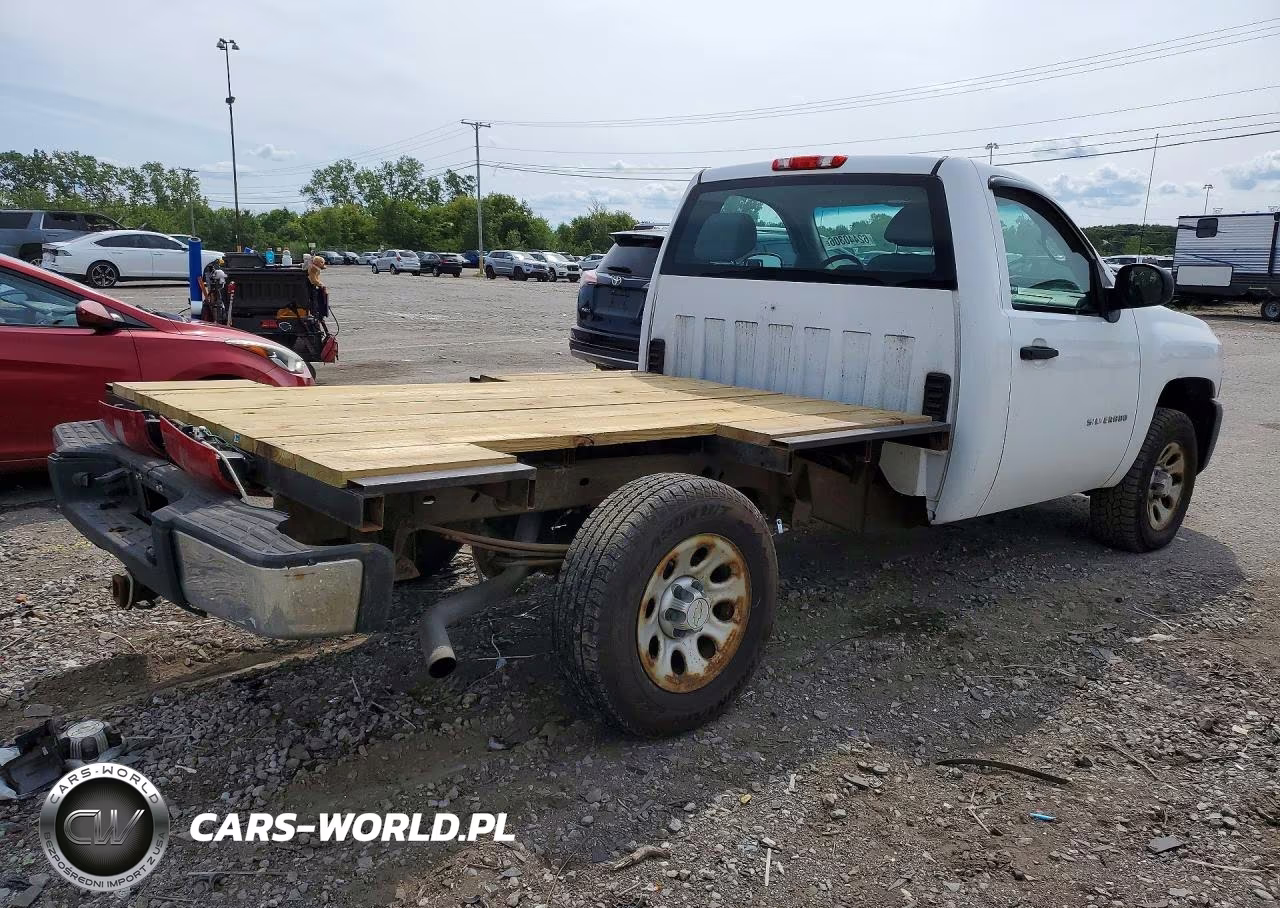 2010 Chevrolet Silverado C1500 VIN:1GCPCPEA2AZ213058 - 3